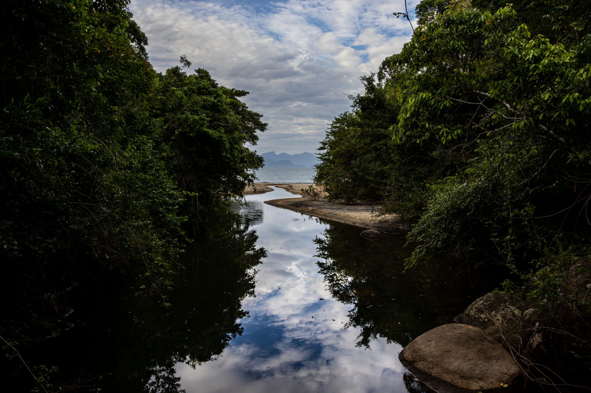 Natureza deslumbrante do Brasil com florestas e rios